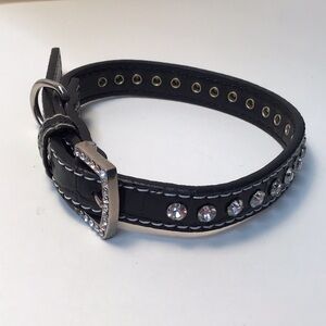 Elegant Black Leather buckle pet collar with sparkling gem & silver Accents